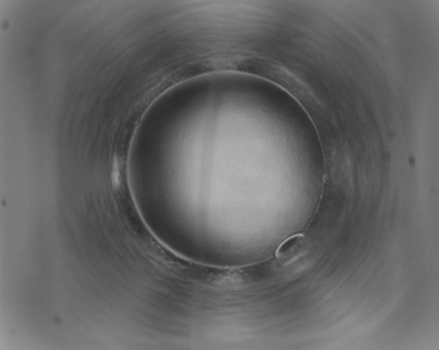 X0000072940075200607211112