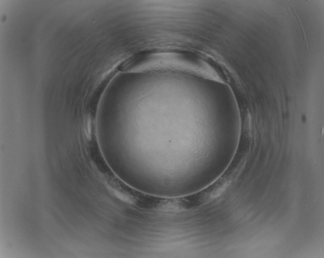 X0000072940076200607211112