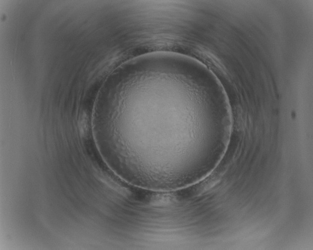 X0000072940077200607211112