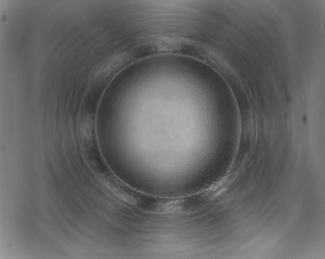 X0000072940078200607211112