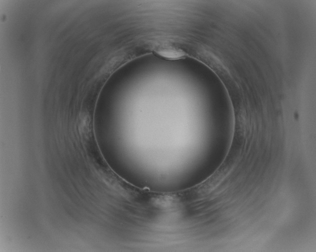 X0000072940079200607211112