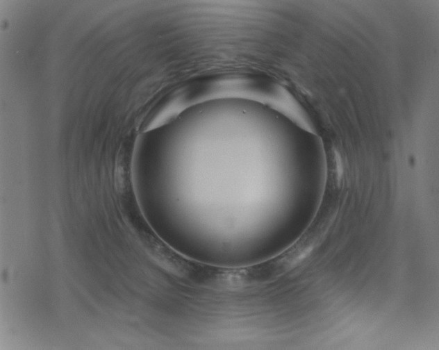 X0000072940080200607211112