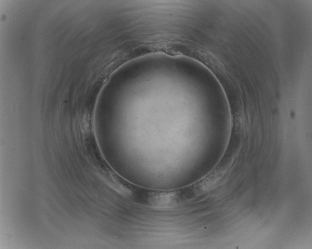 X0000072940081200607211112