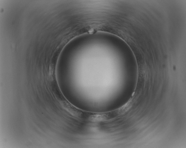 X0000072940082200607211112