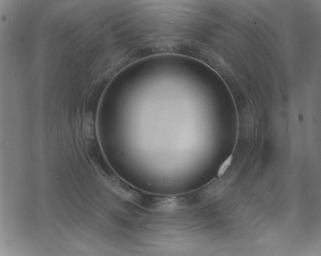 X0000072940083200607211112