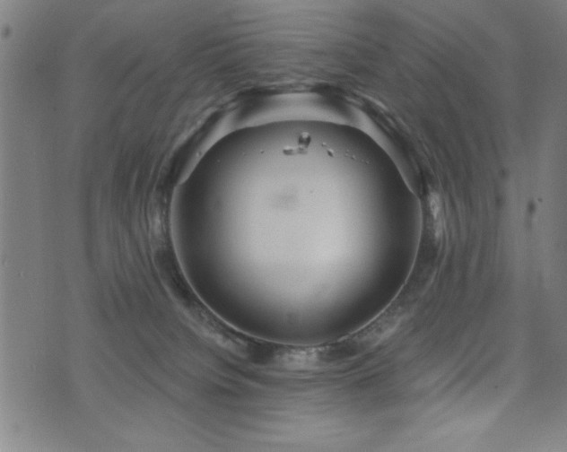 X0000072940084200607211112