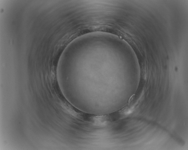 X0000072940085200607211112