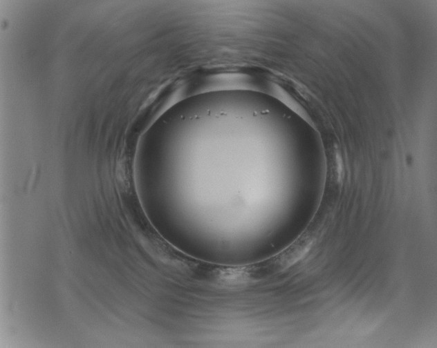 X0000072940088200607211112