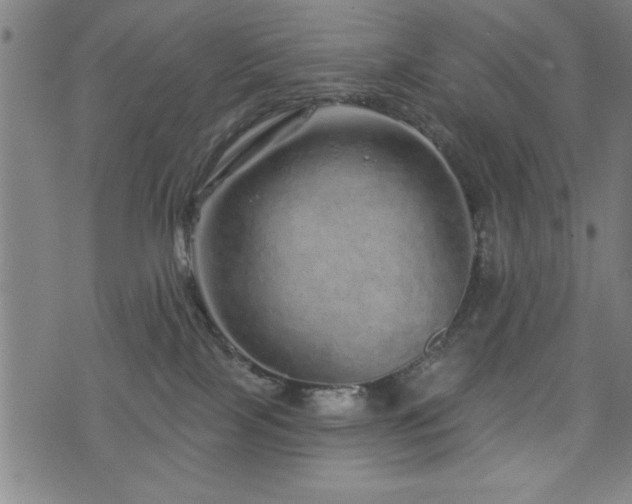 X0000072940089200607211112