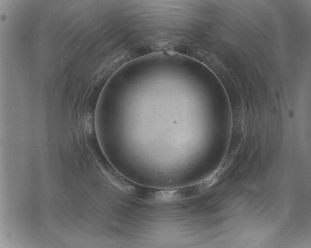 X0000072940090200607211112