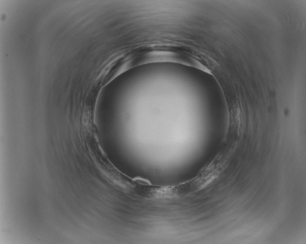 X0000072940092200607211112