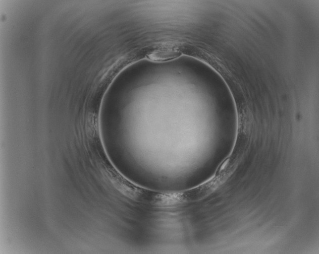 X0000072940093200607211112