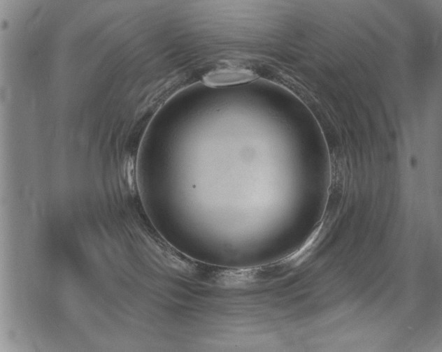 X0000072940094200607211112