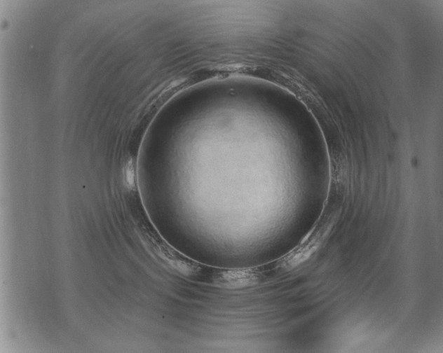 X0000072940095200607211112