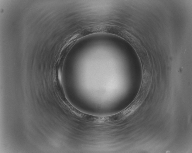 X0000072940096200607211112