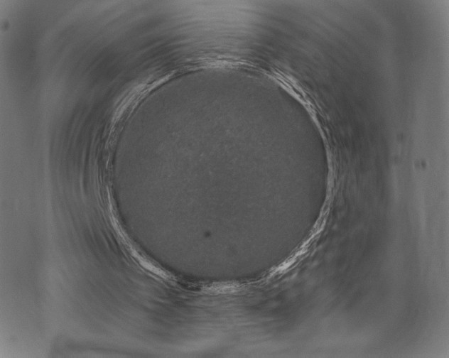 X0000072940097200607211112