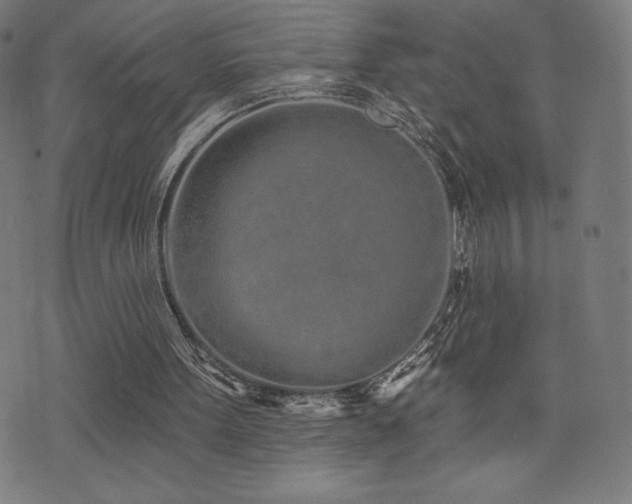 X0000072940099200607211112