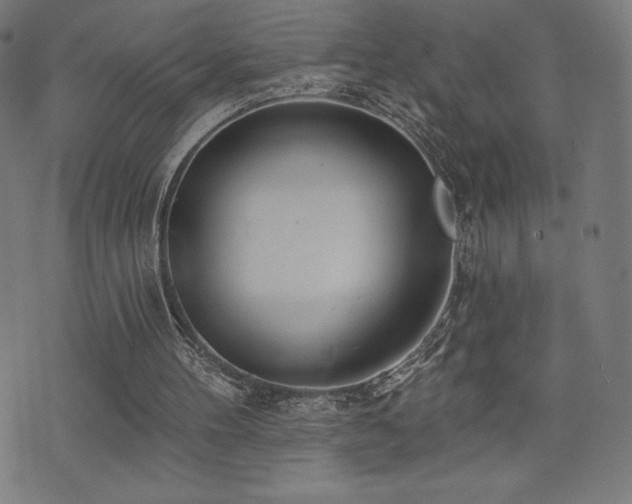 X0000072940100200607211112