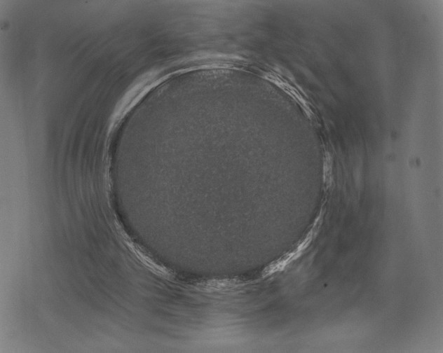 X0000072940101200607211112