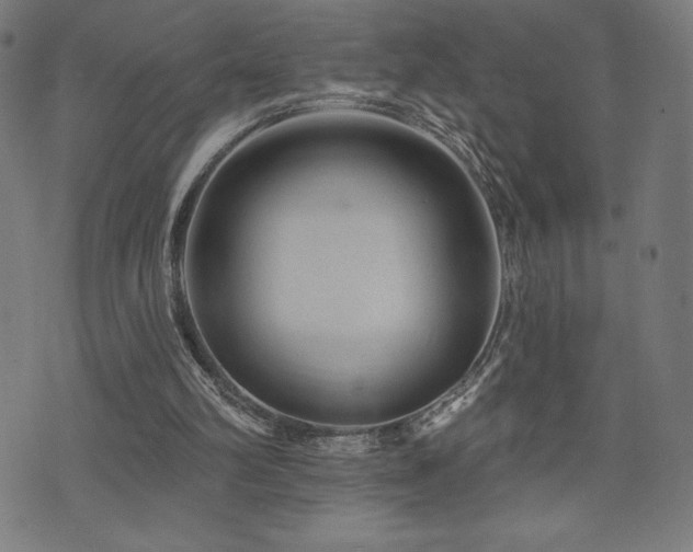 X0000072940102200607211112