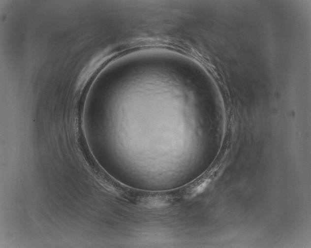 X0000072940103200607211112