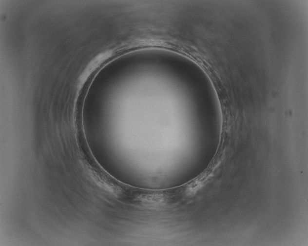 X0000072940104200607211112