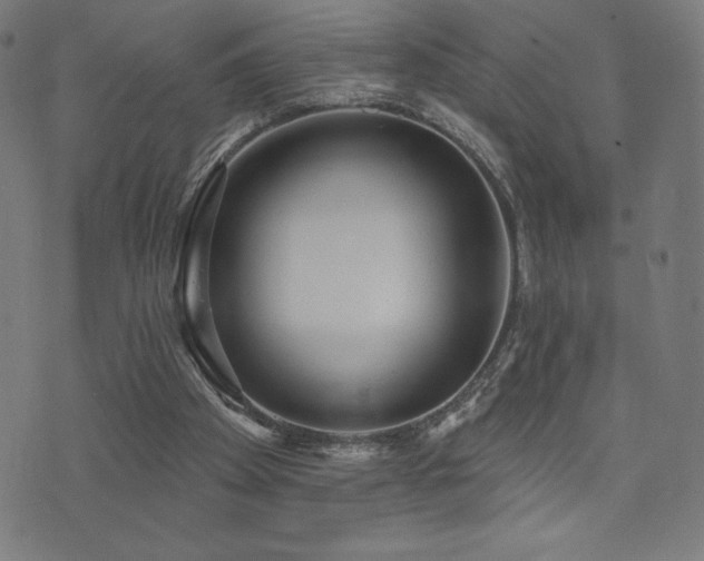 X0000072940105200607211112