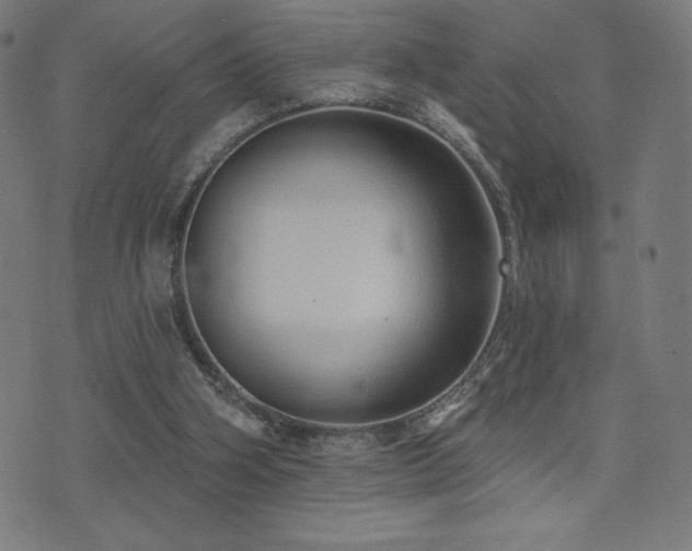 X0000072940106200607211112