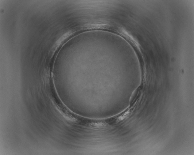 X0000072940107200607211112