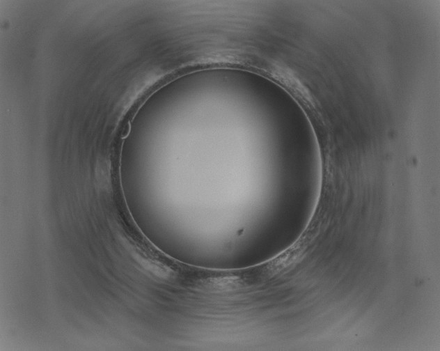 X0000072940108200607211112