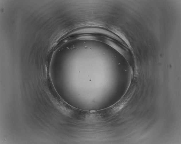 X0000072940109200607211111