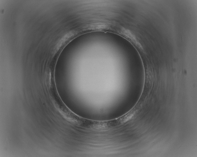 X0000072940110200607211111