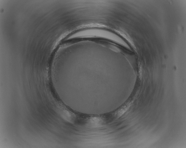 X0000072940111200607211111