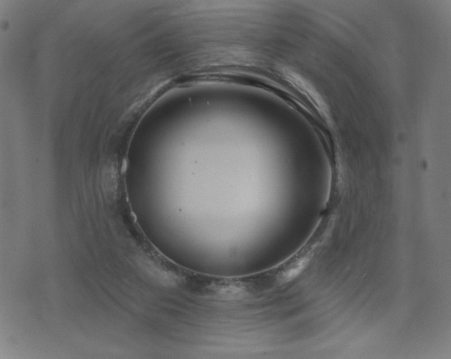 X0000072940113200607211111