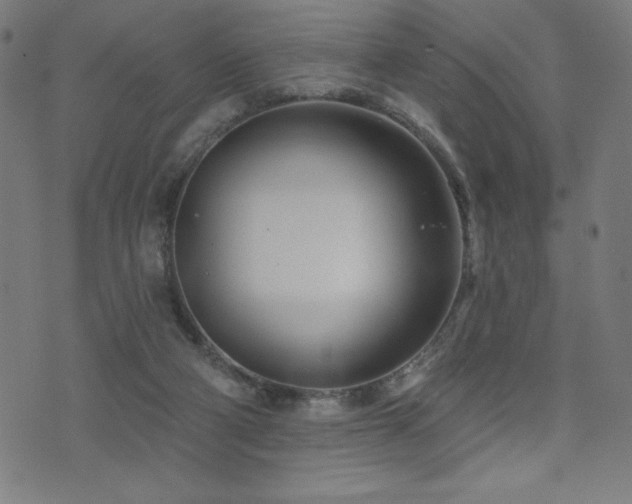 X0000072940114200607211111