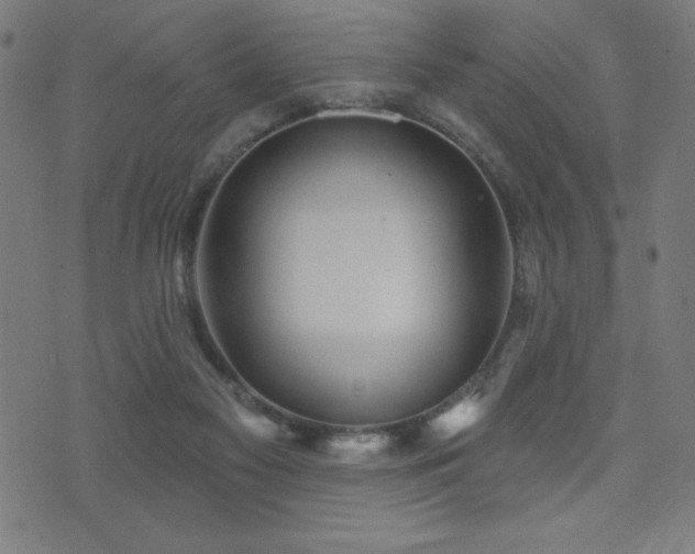 X0000072940117200607211111