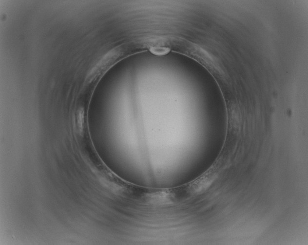 X0000072940118200607211111