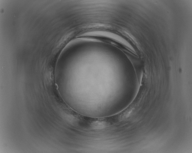 X0000072940119200607211111