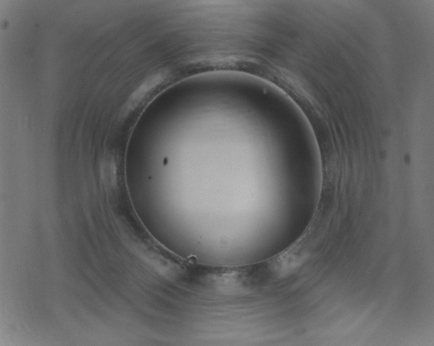 X0000072940120200607211111