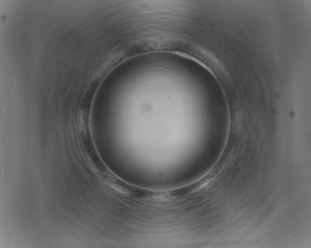 X0000072940121200607211111