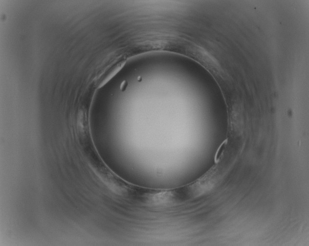 X0000072940122200607211111