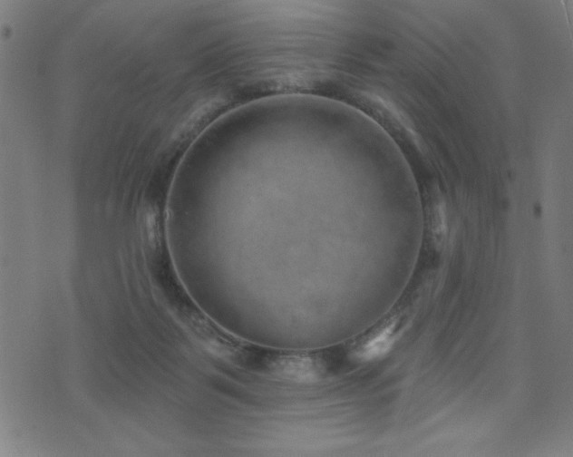 X0000072940123200607211111