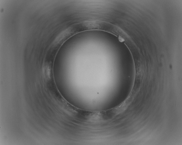 X0000072940124200607211111