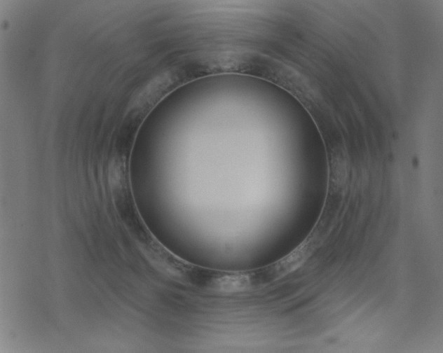 X0000072940126200607211111