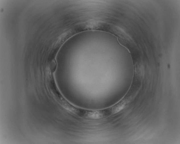 X0000072940127200607211111