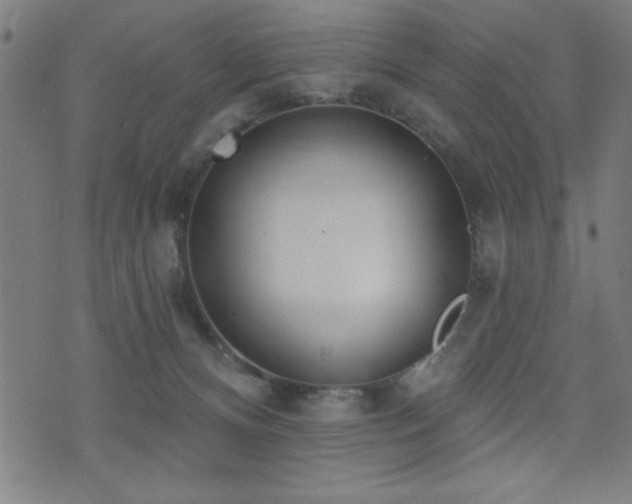 X0000072940128200607211111