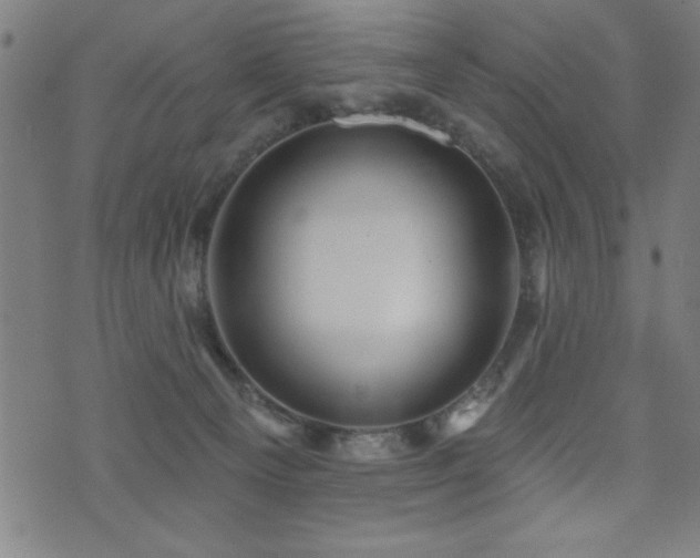 X0000072940129200607211111