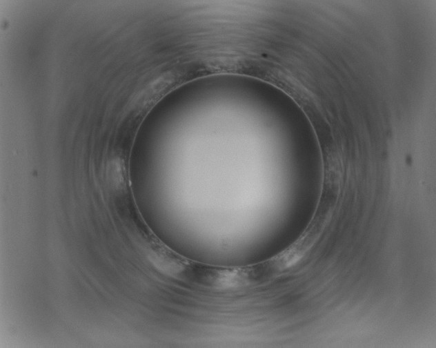 X0000072940130200607211111