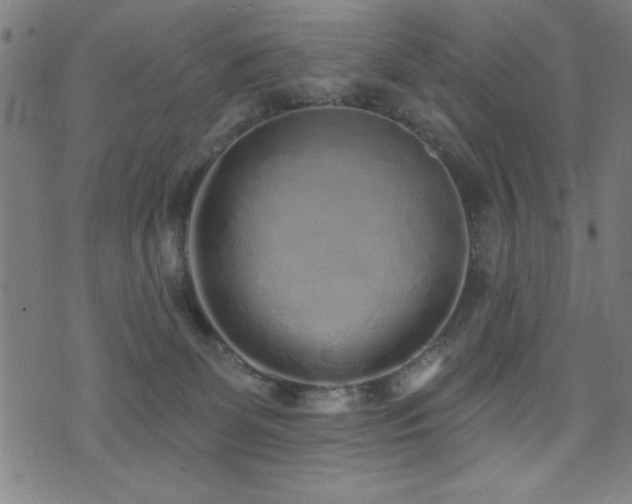 X0000072940131200607211111