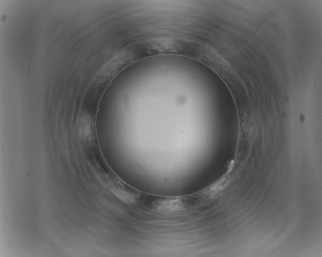 X0000072940132200607211111